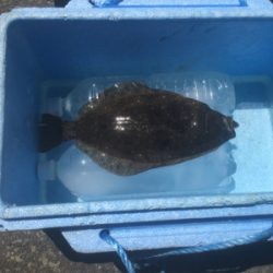 ヒラメ一匹釣れました^_^