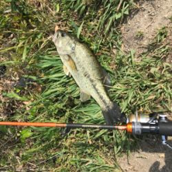 小バスと戯れました。