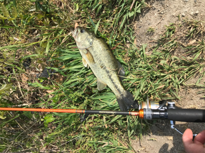 小バスと戯れました。