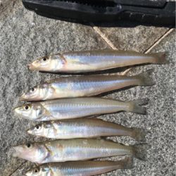 キスちょい投げ