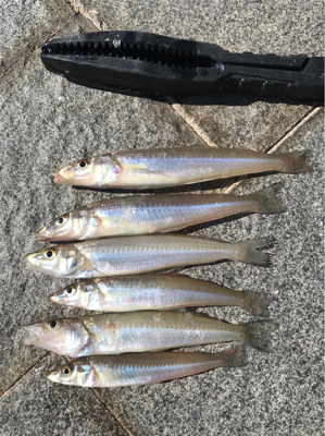 キスちょい投げ