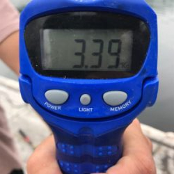 3.3キロ釣れたよー