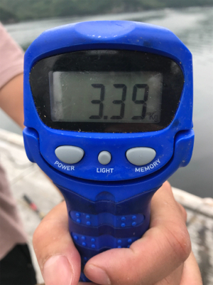 3.3キロ釣れたよー
