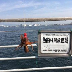 オクトパッシング、まだ早かった。。。