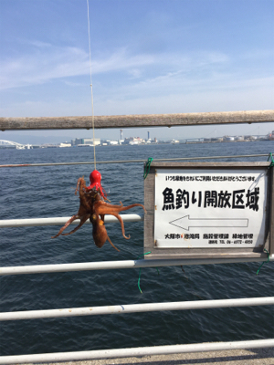 オクトパッシング、まだ早かった。。。