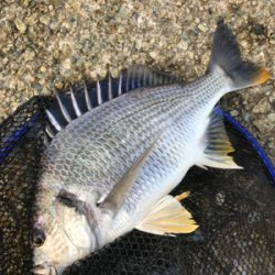 水の色がおかしい