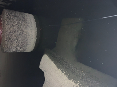 今年初手長海老