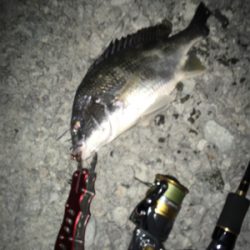 梅雨に入る前に