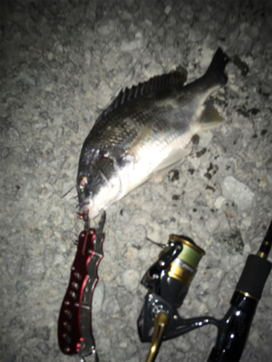 梅雨に入る前に