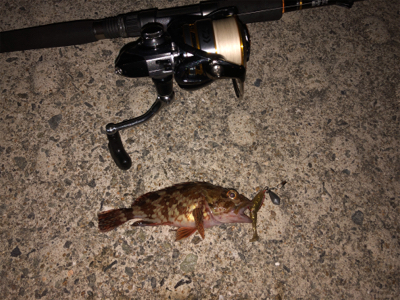 平日でも人が多い❗þ…