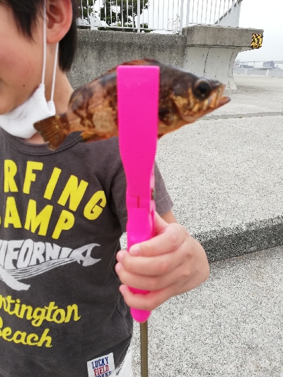 ファミリーフィッシング