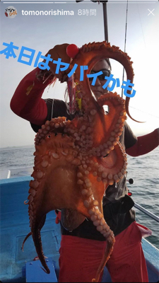 ステイゴールド　タコ　　