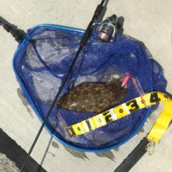 久しぶりのエギング