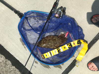 久しぶりのエギング