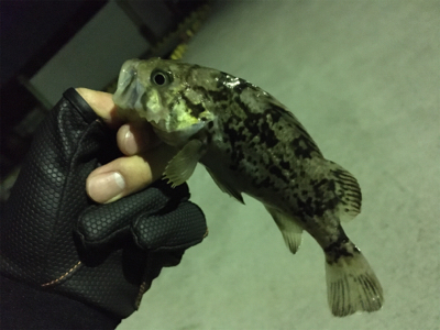 深夜の漁港にて