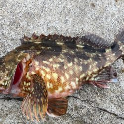 暗いうちから、、