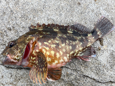 暗いうちから、、