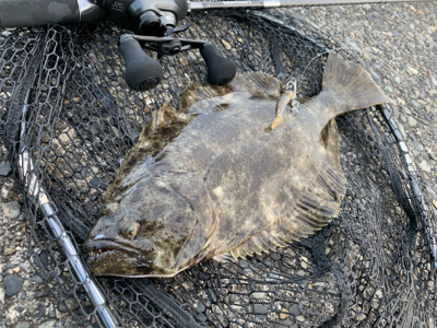 ソゲアンドソゲ