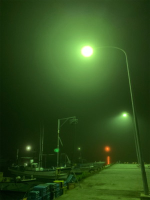 まさかまさかのチニング