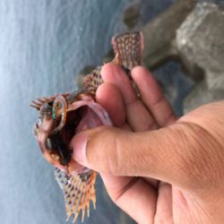 出雲〜萩尾にて