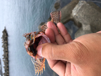 出雲〜萩尾にて