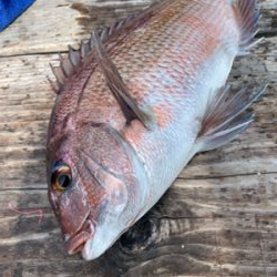 釣堀水宝さんにて