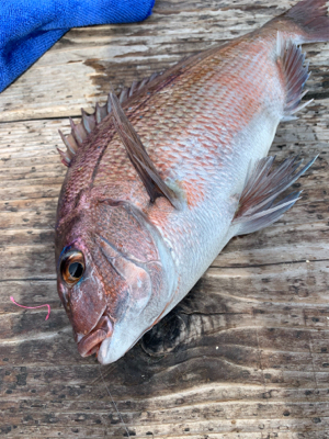 釣堀水宝さんにて