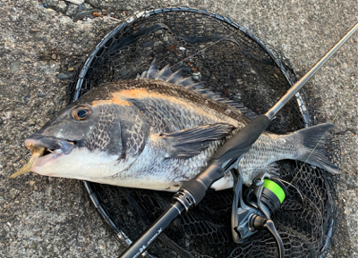 ブラックandレッド？