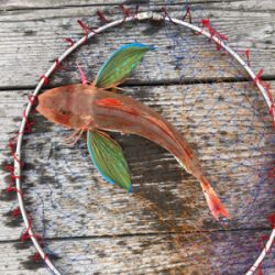 初ショアタイラバ