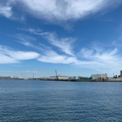 ノマセの予定が