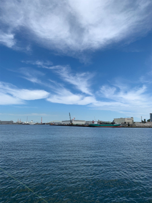 ノマセの予定が