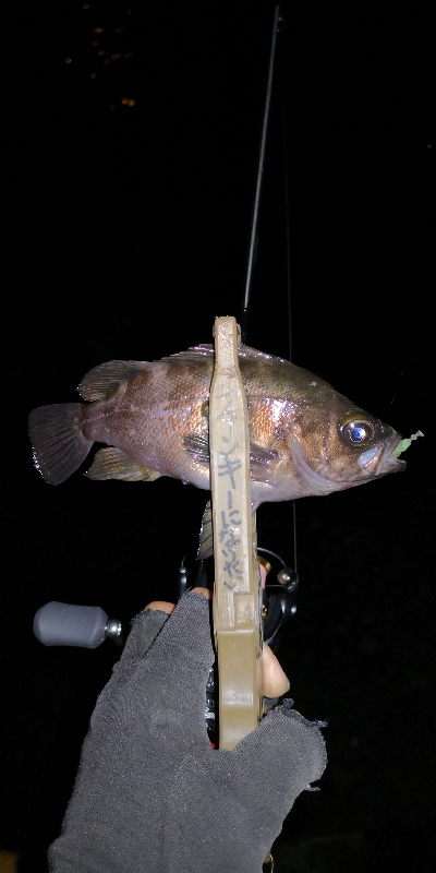 アジング練習 150