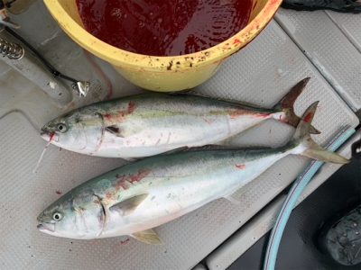 丹後沖ジギング