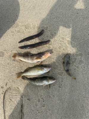 キス狙いでしたが…