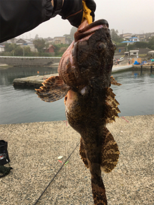 カレイングのつもりが