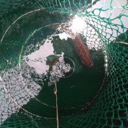 雨上がりは辛い