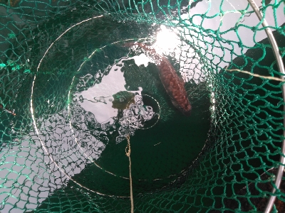 雨上がりは辛い