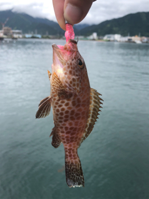 ライトロックゲーム