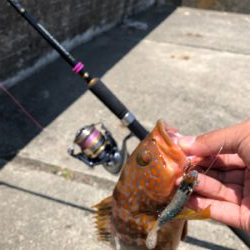 久しぶりの日本海