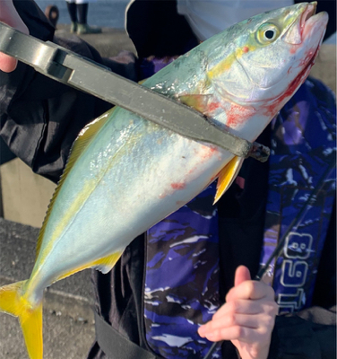 初南港新波止！