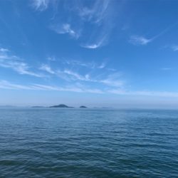 久し振りのフカセ