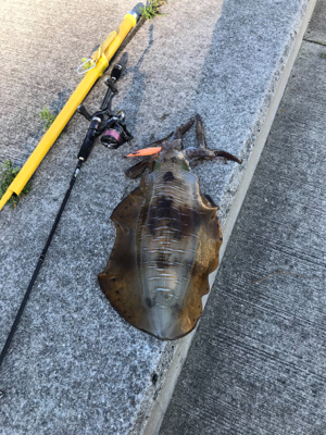 満潮1時間前‼️…