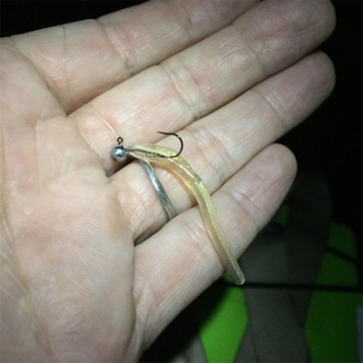 大阪湾奥アジング