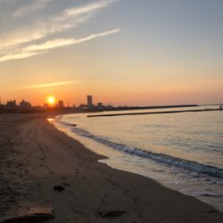 ピンギスならぬ豆ギスまつり