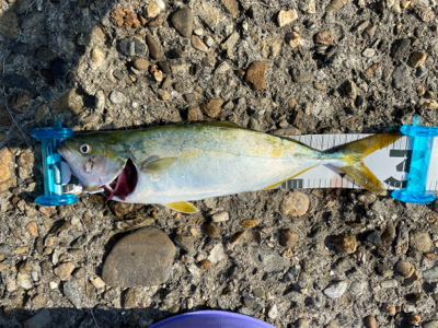 サバゲー&ツバス