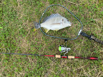 ワールドシャウラ でチニング