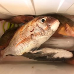 嵐のヒトツテンヤ