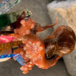 仕事帰り1時間！