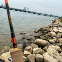 ハゼ釣りなどなど