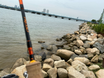 ハゼ釣りなどなど